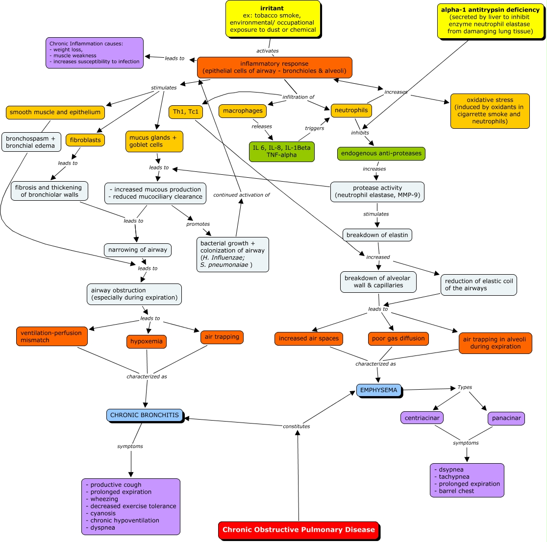 Patho Concept Map COPD 3 What is the etiology and pathogenesis of COPD
